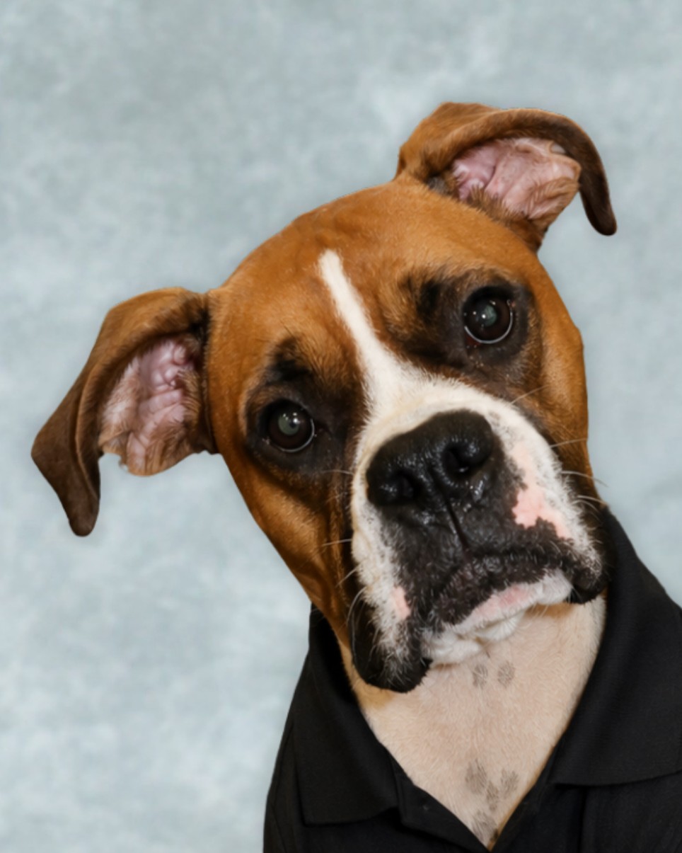 HEADSHOTS - 37